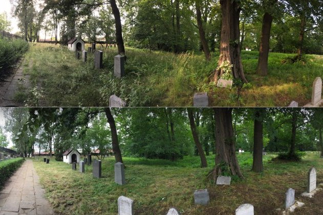 [Translate to English:] 