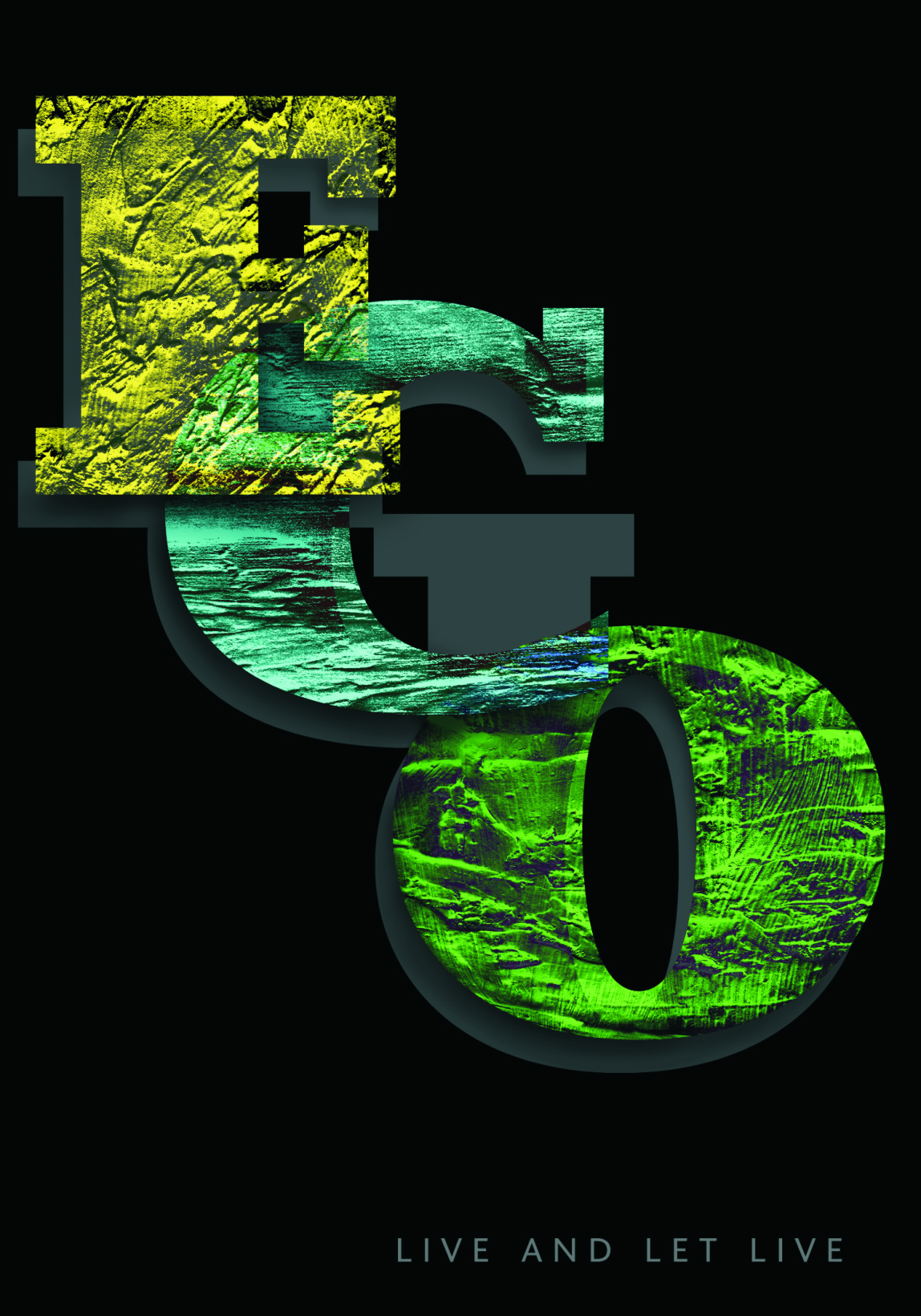 Iwona Rypeść-Kostovic, Poland, "EGO-ECO"